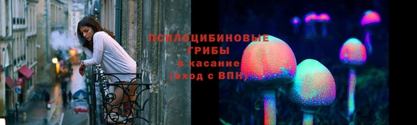 спайс Щигры