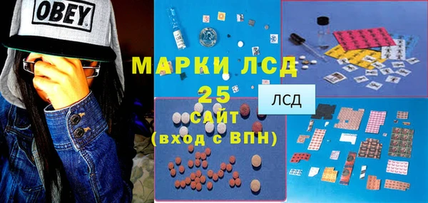 спайс Щигры