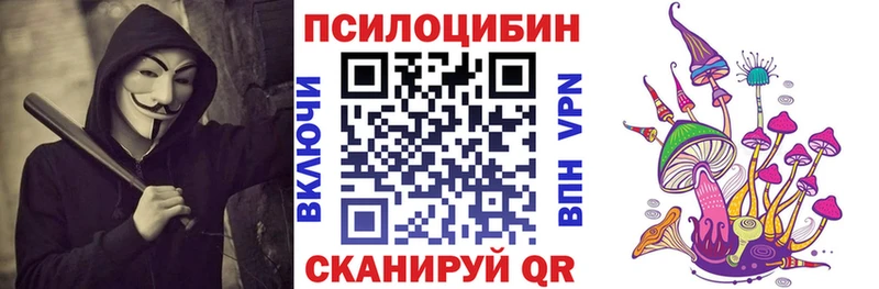 Галлюциногенные грибы Cubensis Аксай